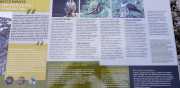 Banes_Jumeaux_20_12-102