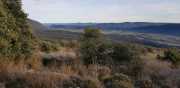 Banes_Jumeaux_20_12-105
