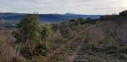 Banes_Jumeaux_20_12-107