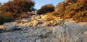 Banes_Jumeaux_20_12-126