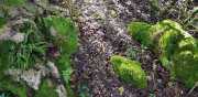 Banes_Jumeaux_20_12-14