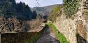 Banes_Jumeaux_20_12-2