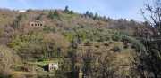 Banes_Jumeaux_20_12-3