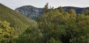 Banes_Jumeaux_20_12-35