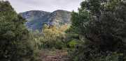 Banes_Jumeaux_20_12-43