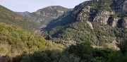 Banes_Jumeaux_20_12-47