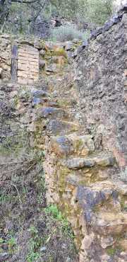 Banes_Jumeaux_20_12-52