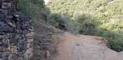 Banes_Jumeaux_20_12-62
