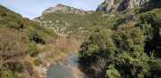 Banes_Jumeaux_20_12-71