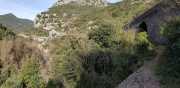 Banes_Jumeaux_20_12-73
