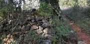 Banes_Jumeaux_20_12-77