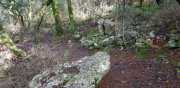 Banes_Jumeaux_20_12-78