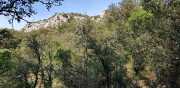 Banes_Jumeaux_20_12-79