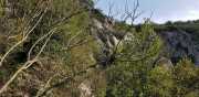 Banes_Jumeaux_20_12-81