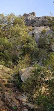 Banes_Jumeaux_20_12-82