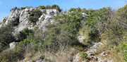 Banes_Jumeaux_20_12-85