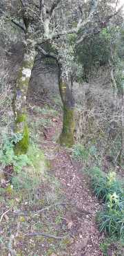 Banes_Jumeaux_20_12-92