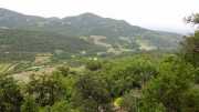 MONTMIRAIL_21_05-106