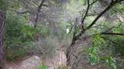 MONTMIRAIL_21_05-110