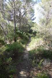 MONTMIRAIL_21_05-23