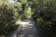 MONTMIRAIL_21_05-27
