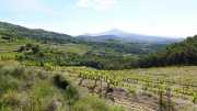 MONTMIRAIL_21_05-28