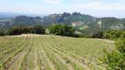 MONTMIRAIL_21_05-34