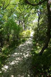 MONTMIRAIL_21_05-37