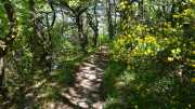 MONTMIRAIL_21_05-38