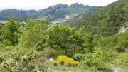 MONTMIRAIL_21_05-42