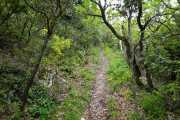 MONTMIRAIL_21_05-45