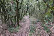 MONTMIRAIL_21_05-46