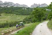 MONTMIRAIL_21_05-66