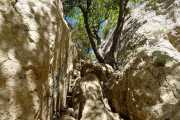 MONTMIRAIL_21_05-7