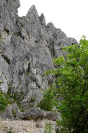MONTMIRAIL_21_05-71