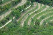 MONTMIRAIL_21_05-75