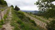 MONTMIRAIL_21_05-84