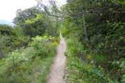 MONTMIRAIL_21_05-86