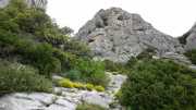 MONTMIRAIL_21_05-96