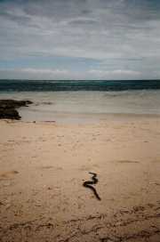 m152_96-07_Phare_Tricot_Raye