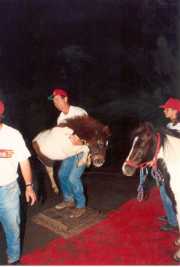 m153_96-07_LAGOURMETTE