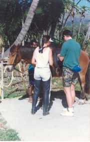 l362_1997-08_Hiengehne