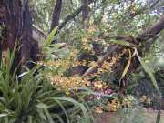 DSCN0042