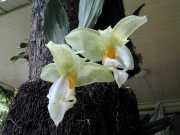 DSCN0045