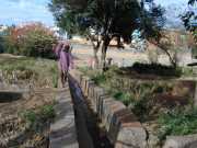 DSCN0107