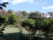 IPM_c4