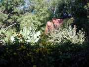 IPM_d2