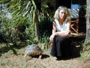Tortue_a1