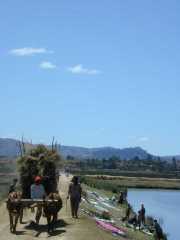 DSCN0605