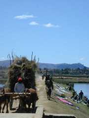 DSCN0606